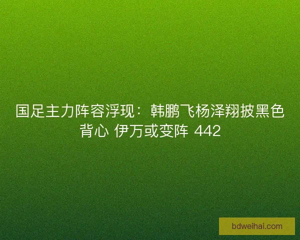 国足主力阵容浮现：韩鹏飞杨泽翔披黑色背心 伊万或变阵 442