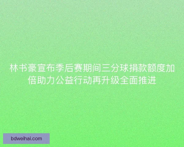 林书豪宣布季后赛期间三分球捐款额度加倍助力公益行动再升级全面推进